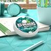image:imageICE BREAKERS Wintergreen Sugar Free Mints Tins 15 oz 8 CountWintergreen